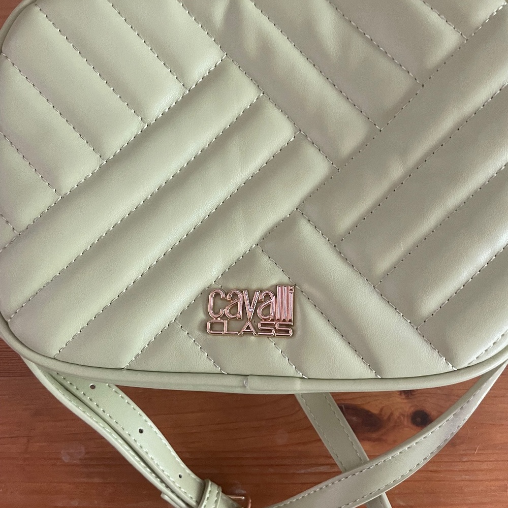 Pistachio cute bag